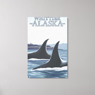 Orca Whales #1 - Whittier, Alaska Canvas Print