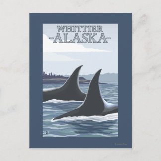 Orca Whales #1 - Whittier, Alaska Postcard