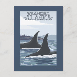 Orca Whales #1 - Wrangell, Alaska Postcard