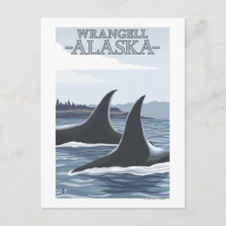 Orca Whales #1 - Wrangell, Alaska Postcard