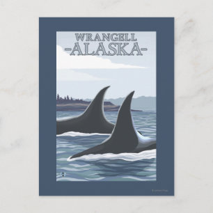 Orca Whales #1 - Wrangell, Alaska Postcard