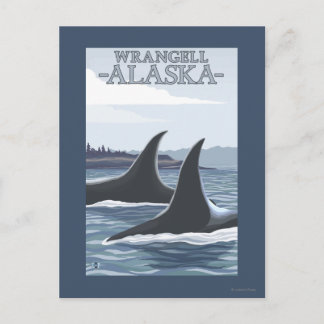 Orca Whales #1 - Wrangell, Alaska Postcard