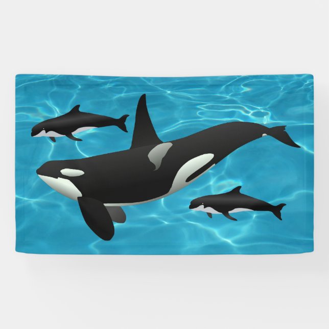 Orca Whales Banner (Horizontal)