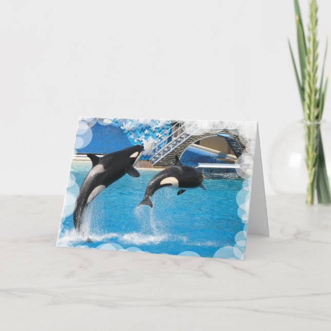 Orca Whales Greeting Card (Front)