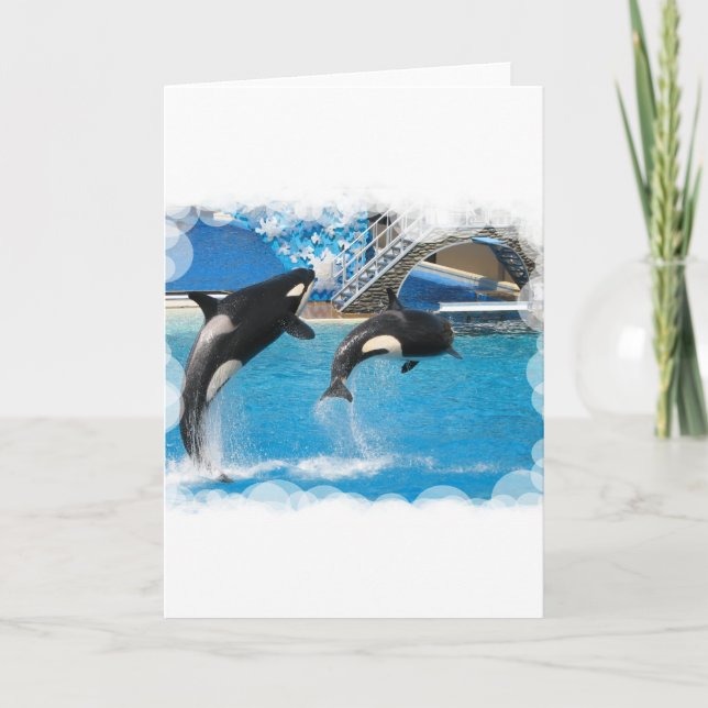 Orca Whales Greeting Card (Front)