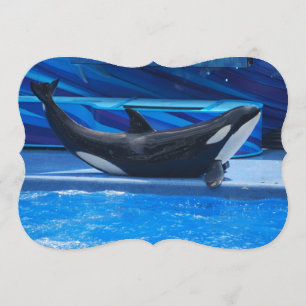 Orca Whales Invitation