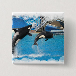Orca Whales Square Button