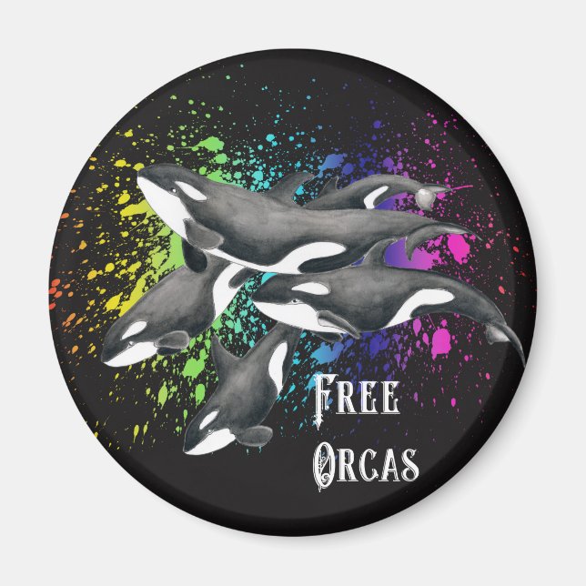 Orca Whales Watercolor Splash Black Magnet (Front)