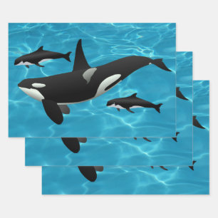 Orca Whales Wrapping Paper Sheet