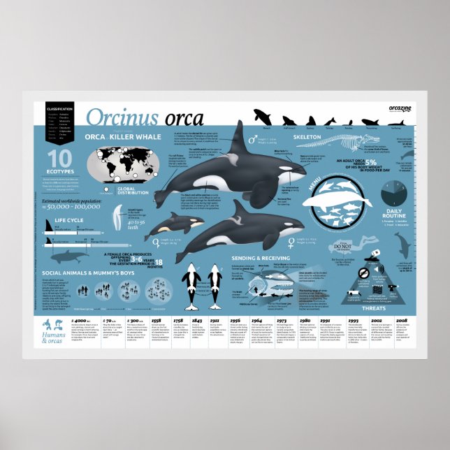 Orcagraphic poster - English edition (Front)