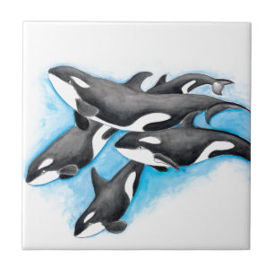 orcas in blue tile