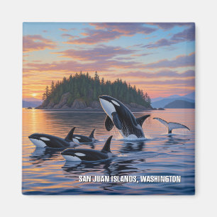 Orcas in Washington san juan islands travel Magnet