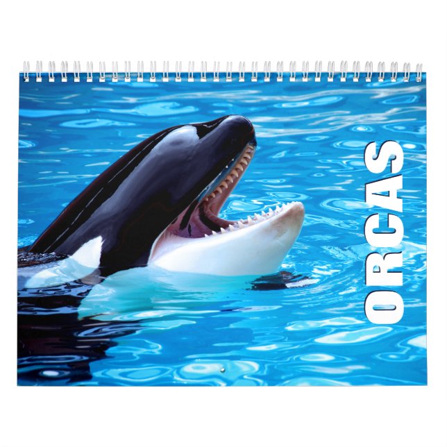Orcas Wall Calendar (Cover)