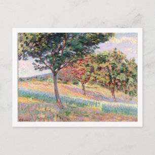 Orchard at St. Cheron, 1893 (oil on canvas) Postcard