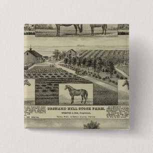 Orchard Hill and Cedar Grove, Kansas 15 Cm Square Badge