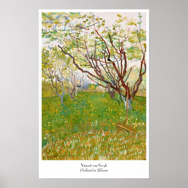 Orchard in Bloom Vincent van Gogh  fine art Poster (Front)