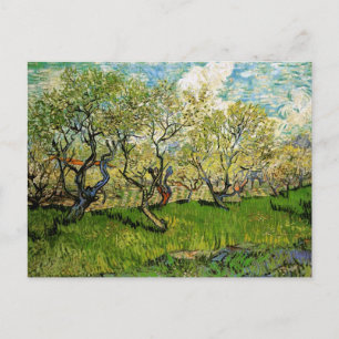 Orchard in Blossom Amsterdam Van Gogh Fine Art Postcard