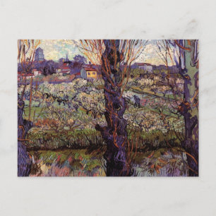 Orchard in Blossom, Arles by Vincent van Gogh Postcard