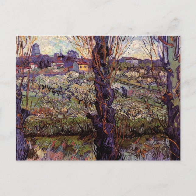 Orchard in Blossom, Arles by Vincent van Gogh Postcard (Front)