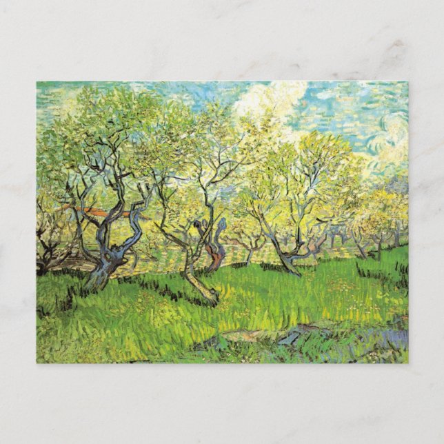Orchard in Blossom by Vincent van Gogh Postcard (Front)