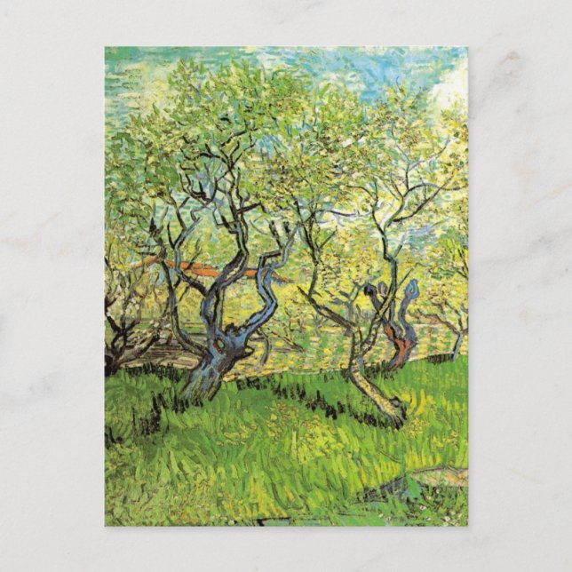 Orchard in Blossom by Vincent van Gogh Postcard (Front)