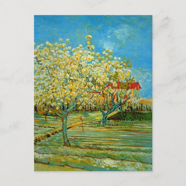 Orchard in Blossom by Vincent van Gogh Postcard (Front)
