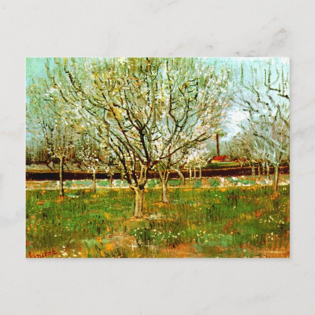 Orchard in Blossom (Plum Trees), Vincent van Gogh Postcard (Front)