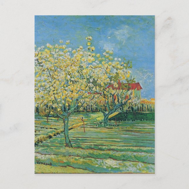 Orchard in Blossom, Vincent van Gogh Fine Art Postcard (Front)