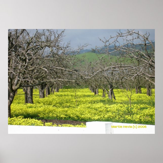 Orchard Mustard Fields Poster (Front)
