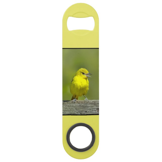 Orchard Oriole - Original Photograph (Front)