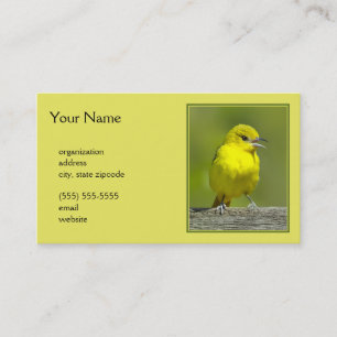 Orchard Oriole - Original Photograph Business Card