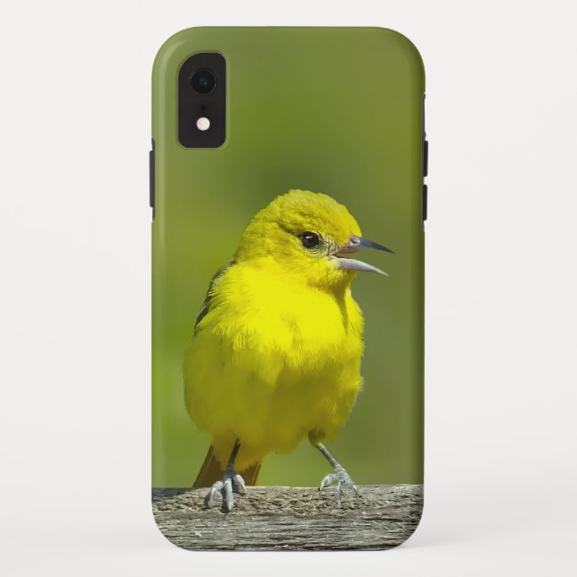 Orchard Oriole - Original Photograph Case-Mate iPhone Case (Back)
