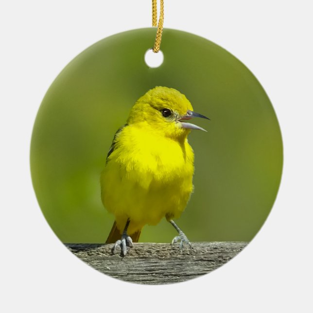 Orchard Oriole - Original Photograph Ceramic Tree Decoration (Front)