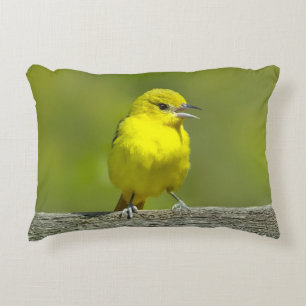 Orchard Oriole - Original Photograph Decorative Cushion