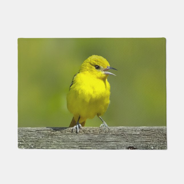 Orchard Oriole - Original Photograph Doormat (Front)