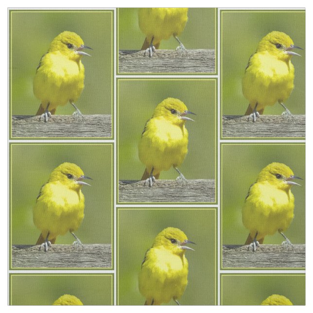 Orchard Oriole - Original Photograph Fabric (Swatch)