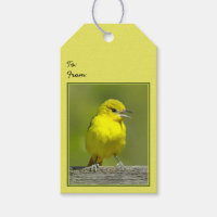 Orchard Oriole - Original Photograph