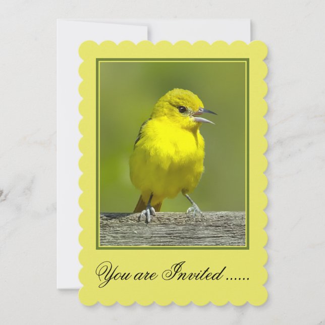 Orchard Oriole - Original Photograph Invitation (Front)