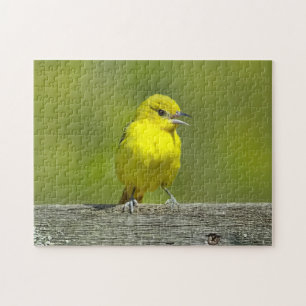 Orchard Oriole - Original Photograph Jigsaw Puzzle