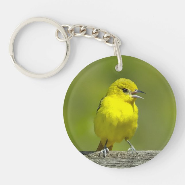 Orchard Oriole - Original Photograph Key Ring (Front)
