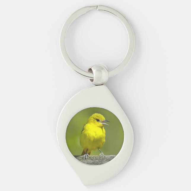 Orchard Oriole - Original Photograph Key Ring (Front)