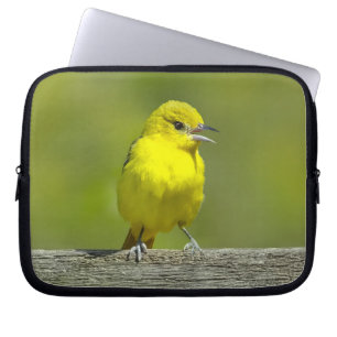 Orchard Oriole - Original Photograph Laptop Sleeve