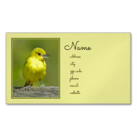 Orchard Oriole - Original Photograph