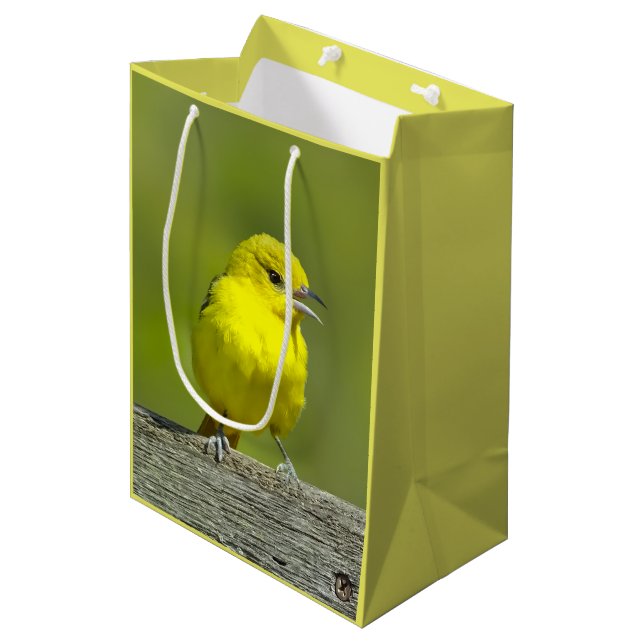 Orchard Oriole - Original Photograph Medium Gift Bag (Front Angled)
