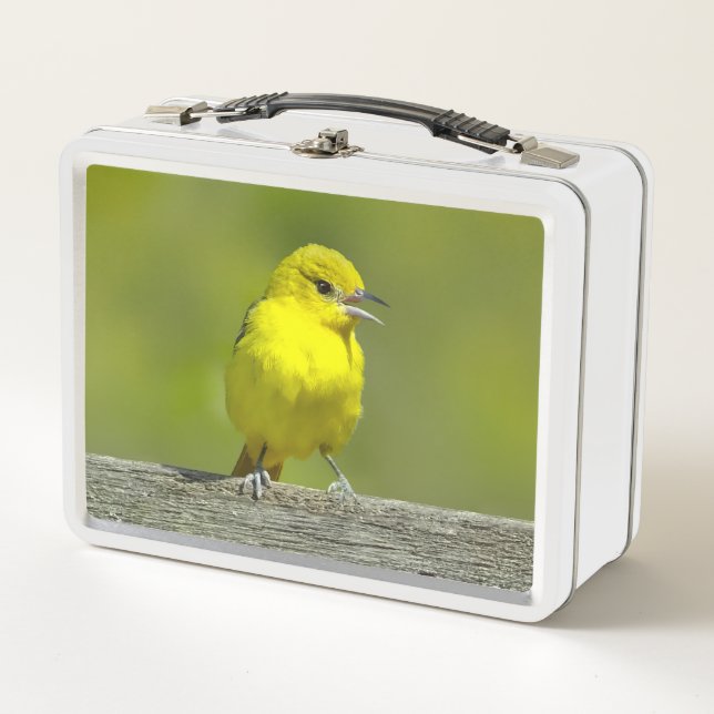 Orchard Oriole - Original Photograph Metal Lunch Box (Front)