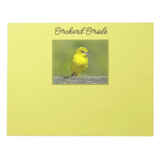 Orchard Oriole - Original Photograph Notepad