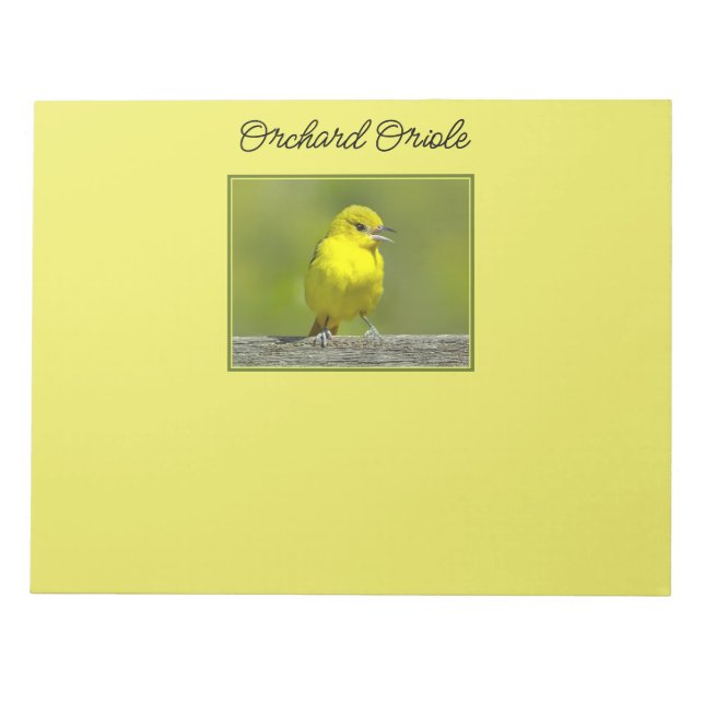 Orchard Oriole - Original Photograph Notepad (Front)
