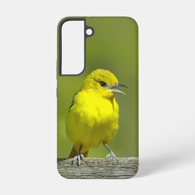 Orchard Oriole - Original Photograph Samsung Galaxy S22 Case (Back)
