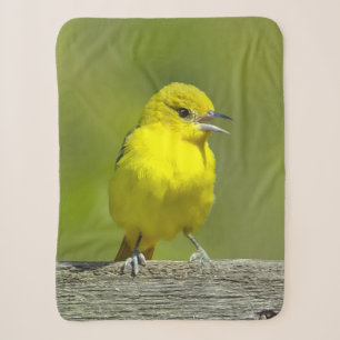 Orchard Oriole - Original Photograph Sherpa Blanket