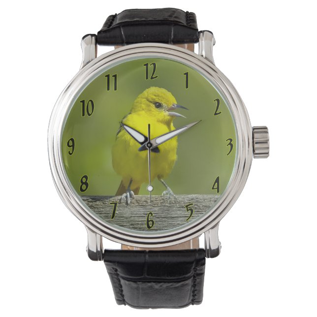 Orchard Oriole - Original Photograph Watch (Front)